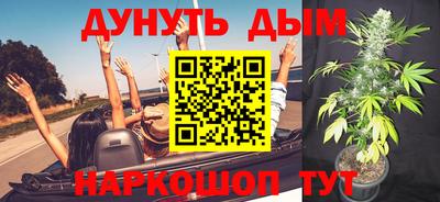 сатива Бузулук