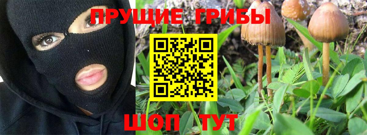Псилоцибиновые грибы прущие грибы Челябинск